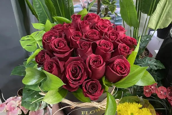 AKDENİZ ÇİÇEK Alanya / FLOWER SHOP/ BALLOONS - Resim 6