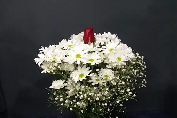 AKDENİZ ÇİÇEK Alanya / FLOWER SHOP/ BALLOONS - Resim 19