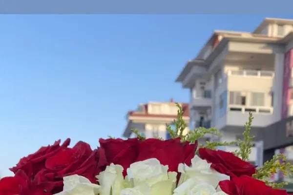 AKDENİZ ÇİÇEK Alanya / FLOWER SHOP/ BALLOONS - Resim 4