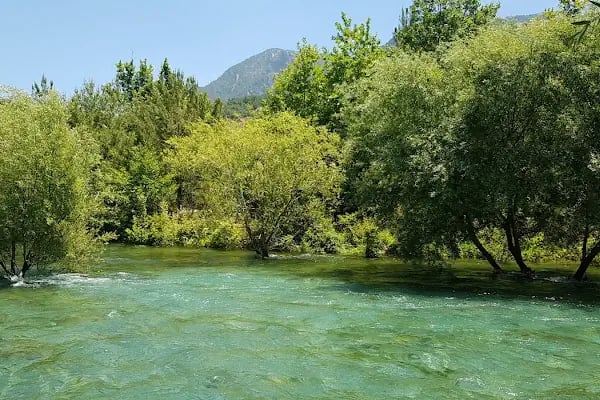 Dim Çayı Otantik Göl Piknik - Resim 6