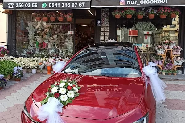 Nur Çiçek Evi - Resim 18