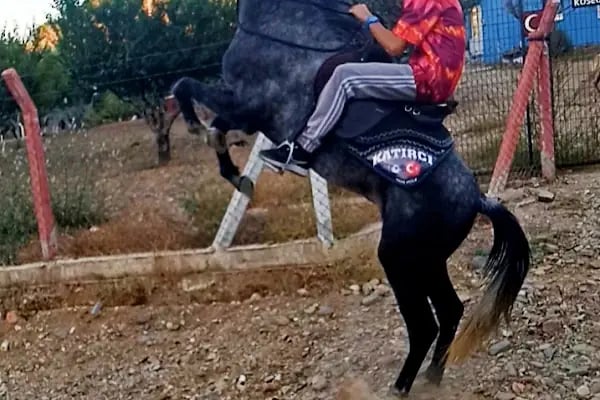 Turgutlu Otogar - Resim 16