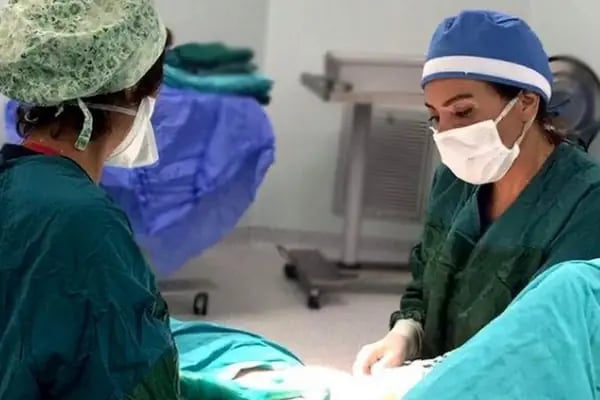 Uzm. Dr. Hatice Bilkur Öztürk, Plastik Rekonstrüktif Ve Estetik Cerrahi - Resim 10