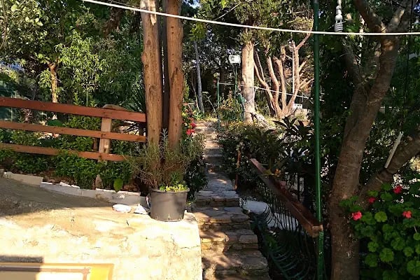 Kartal Belediyesi Büyükada Sosyal Tesisleri - Resim 14