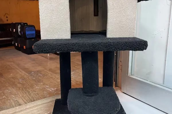 Koçak Petshop - Resim 17