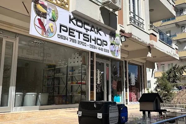 Koçak Petshop - Resim 1