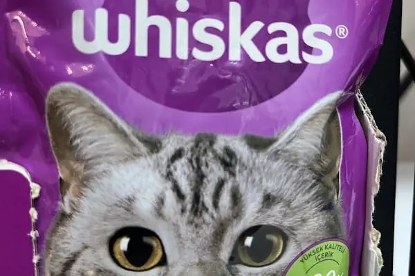 Koçak Petshop - Resim 11