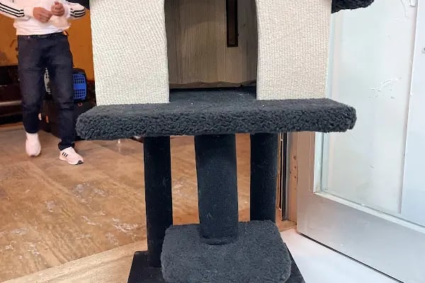 Koçak Petshop - Resim 19