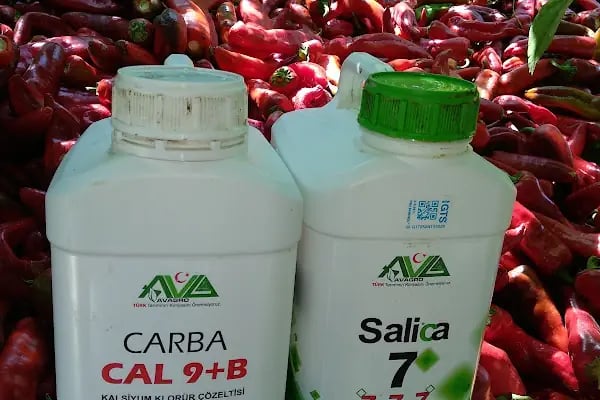 Avagro Tarım - Resim 7
