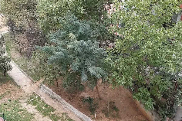 Papatya Parkı - Resim 7