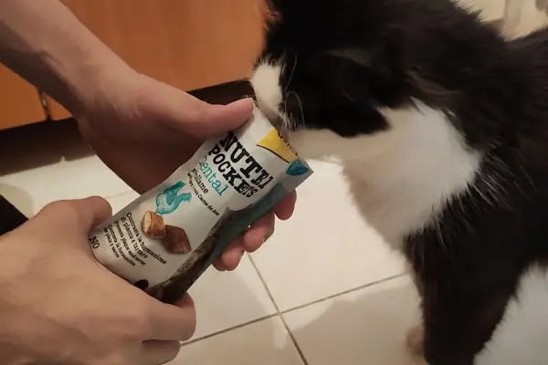 Petibom.com | Online Pet Shop Mağazası - Resim 8