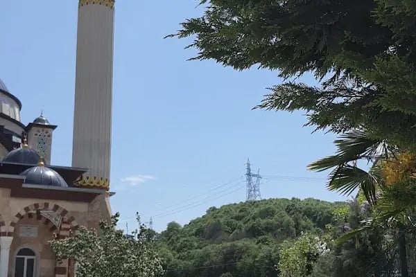 Hacı Zehra Yazaroğlu Camii - Resim 8