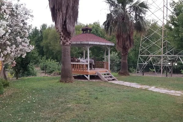 Yosun Restaurant - Resim 14
