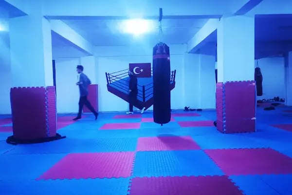 Aydın Erat Spor Kulübü, Taekwondo &amp; Kick Boks &amp; Muay Thai - Resim 3