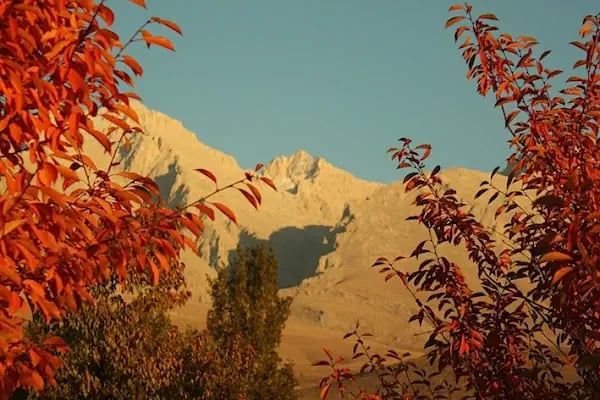 Aladağlar Camping Bungalow - Resim 12